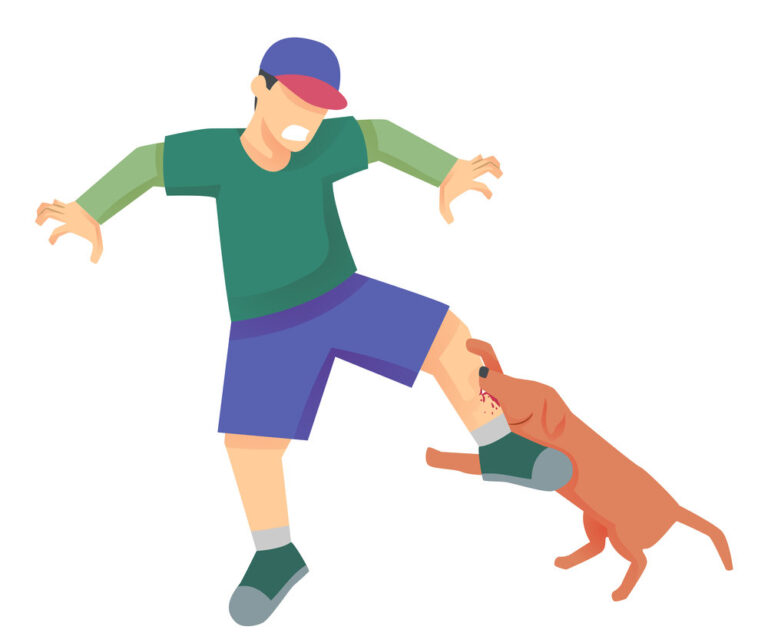Illustration of a Dog Biting a Mans Leg